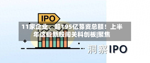11家企业、超195亿募资总额！上半年这些新股闯关科创板|聚焦-第3张图片