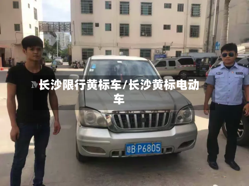 长沙限行黄标车/长沙黄标电动车-第2张图片
