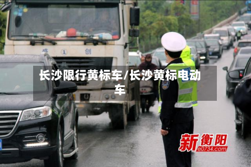 长沙限行黄标车/长沙黄标电动车