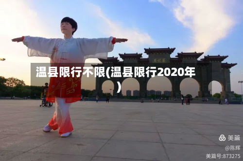 温县限行不限(温县限行2020年)-第3张图片