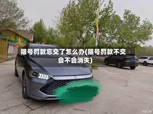 限号罚款忘交了怎么办(限号罚款不交会不会消失)-第2张图片