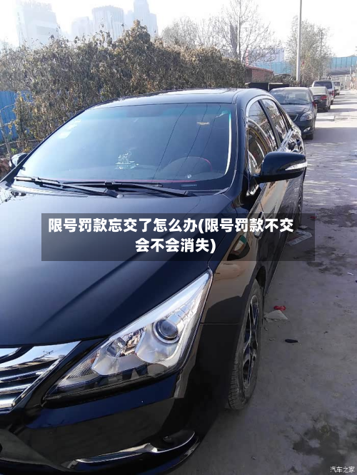 限号罚款忘交了怎么办(限号罚款不交会不会消失)-第3张图片