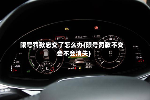 限号罚款忘交了怎么办(限号罚款不交会不会消失)