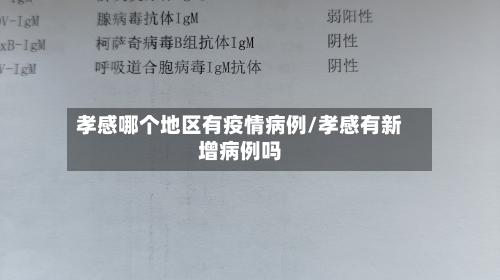 孝感哪个地区有疫情病例/孝感有新增病例吗