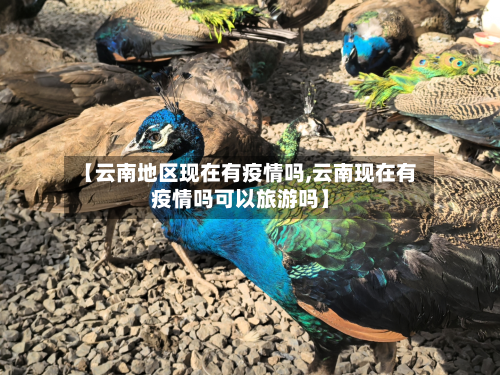 【云南地区现在有疫情吗,云南现在有疫情吗可以旅游吗】-第2张图片