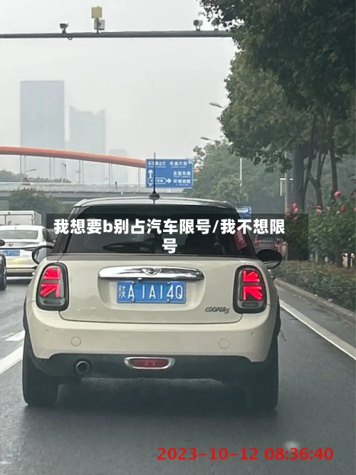 我想要b别占汽车限号/我不想限号-第2张图片