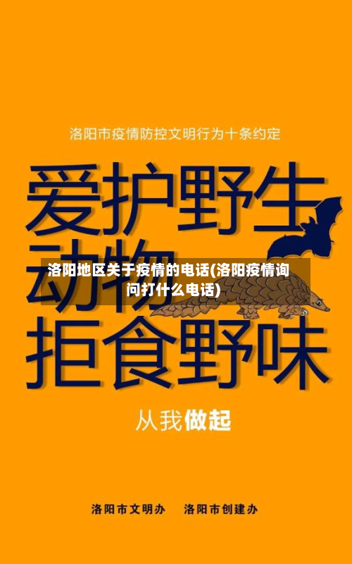 洛阳地区关于疫情的电话(洛阳疫情询问打什么电话)
