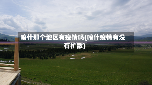 喀什那个地区有疫情吗(喀什疫情有没有扩散)-第2张图片