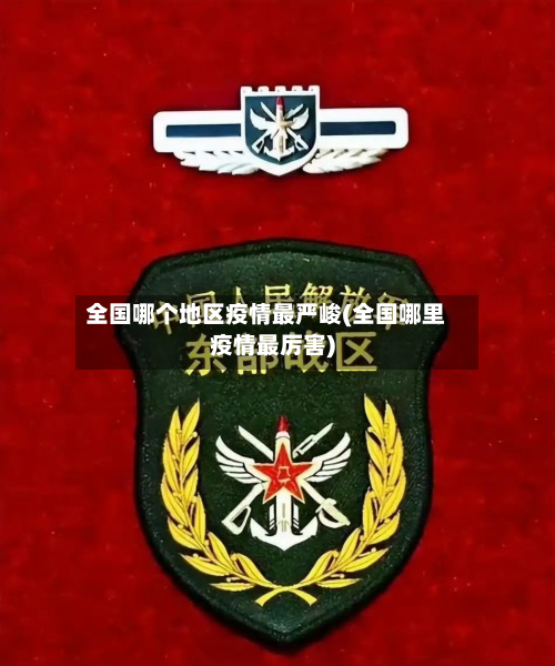 全国哪个地区疫情最严峻(全国哪里疫情最厉害)-第3张图片