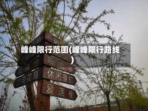 峰峰限行范围(峰峰限行路线)-第2张图片