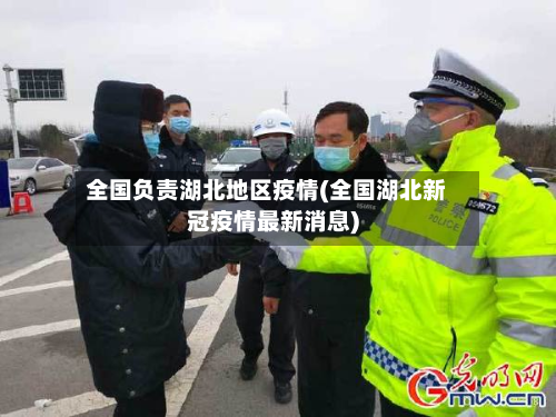全国负责湖北地区疫情(全国湖北新冠疫情最新消息)-第2张图片
