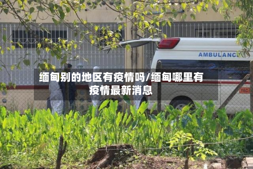 缅甸别的地区有疫情吗/缅甸哪里有疫情最新消息