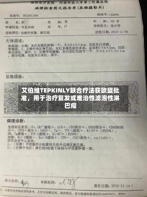 艾伯维TEPKINLY联合疗法获欧盟批准，用于治疗复发或难治性滤泡性淋巴瘤-第2张图片