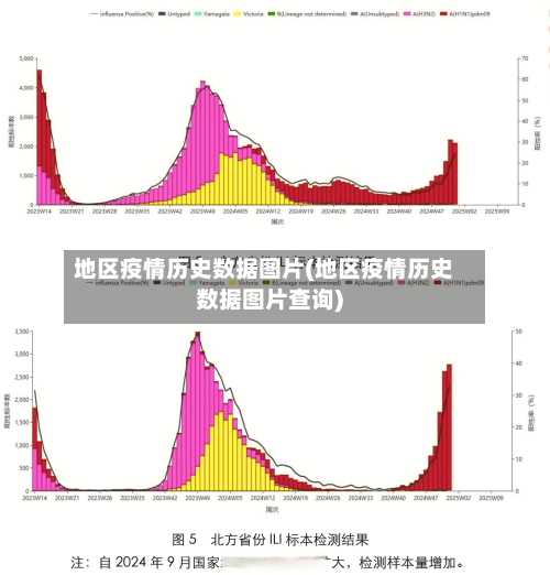 地区疫情历史数据图片(地区疫情历史数据图片查询)-第2张图片
