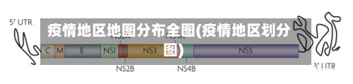 疫情地区地图分布全图(疫情地区划分图)
