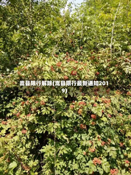 嵩县限行解除(嵩县限行最新通知2019)-第2张图片