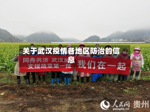 关于武汉疫情各地区防治的信息