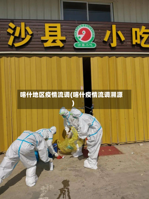 喀什地区疫情流调(喀什疫情流调溯源)-第2张图片