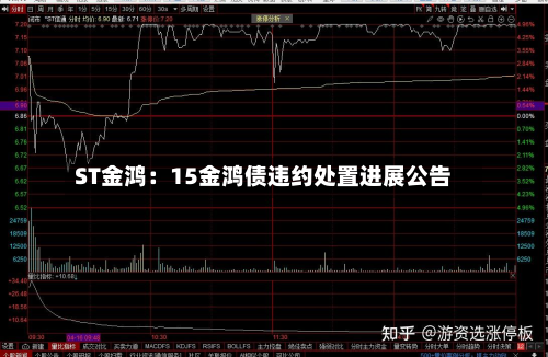 ST金鸿：15金鸿债违约处置进展公告-第3张图片