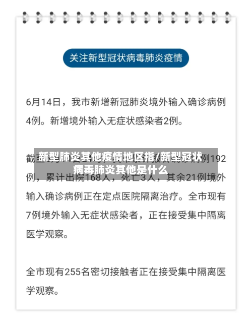 新型肺炎其他疫情地区指/新型冠状病毒肺炎其他是什么