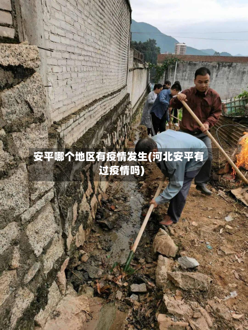 安平哪个地区有疫情发生(河北安平有过疫情吗)-第2张图片