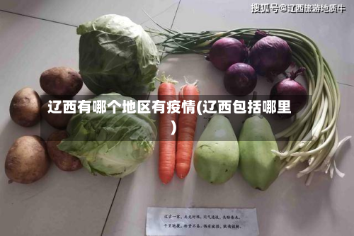 辽西有哪个地区有疫情(辽西包括哪里)