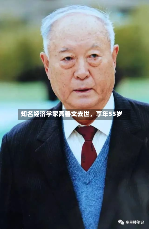知名经济学家高善文去世，享年55岁