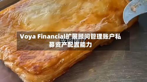 Voya Financial扩展顾问管理账户私募资产配置能力