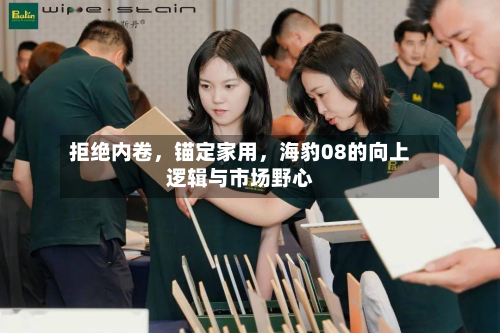 拒绝内卷，锚定家用，海豹08的向上逻辑与市场野心