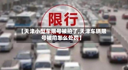 【天津小型车限号被拍了,天津车辆限号被拍怎么处罚】-第3张图片
