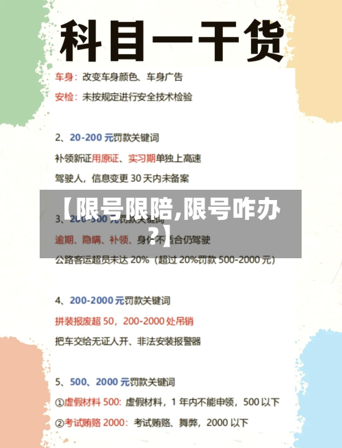 【限号限陪,限号咋办?】