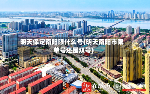 明天保定南阳限什么号(明天南阳市限单号还是双号)-第2张图片