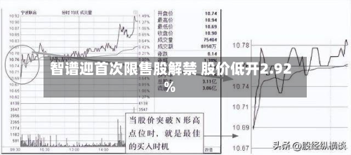 智谱迎首次限售股解禁 股价低开2.92%-第2张图片