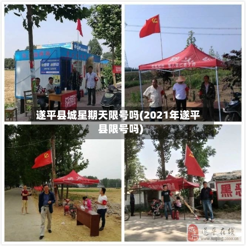 遂平县城星期天限号吗(2021年遂平县限号吗)-第2张图片