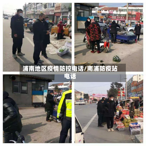 浦南地区疫情防控电话/南浦防疫站电话-第3张图片