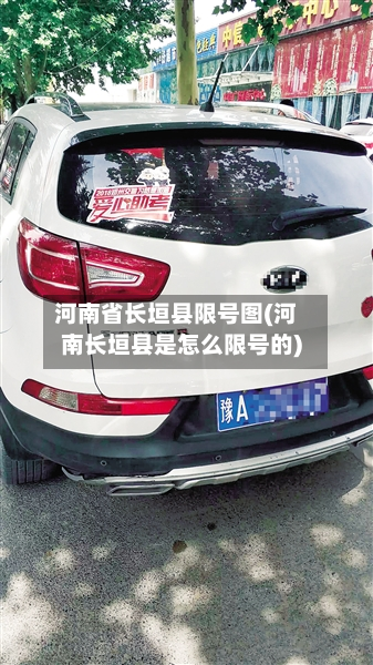 河南省长垣县限号图(河南长垣县是怎么限号的)