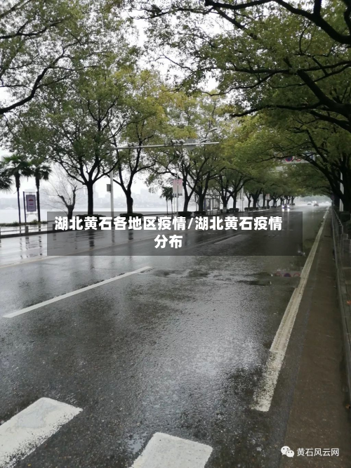 湖北黄石各地区疫情/湖北黄石疫情分布-第2张图片