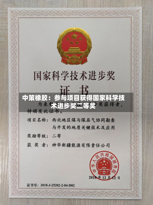 中策橡胶:参与项目获得国家科学技术进步奖二等奖