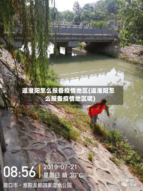 返淮阳怎么报备疫情地区(返淮阳怎么报备疫情地区呢)