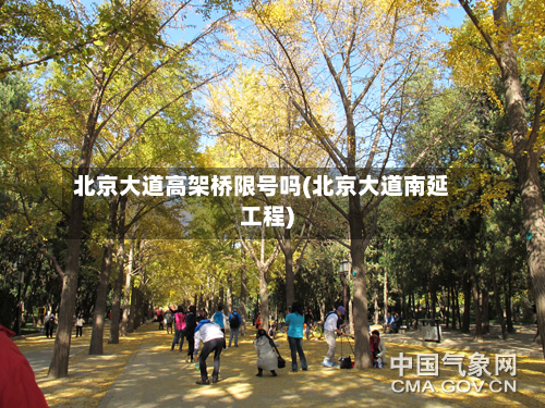 北京大道高架桥限号吗(北京大道南延工程)