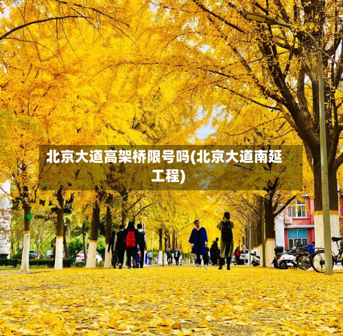 北京大道高架桥限号吗(北京大道南延工程)-第2张图片
