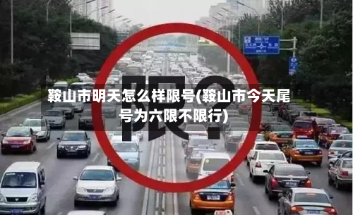 鞍山市明天怎么样限号(鞍山市今天尾号为六限不限行)