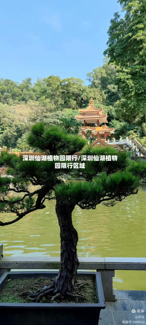 深圳仙湖植物园限行/深圳仙湖植物园限行区域-第2张图片