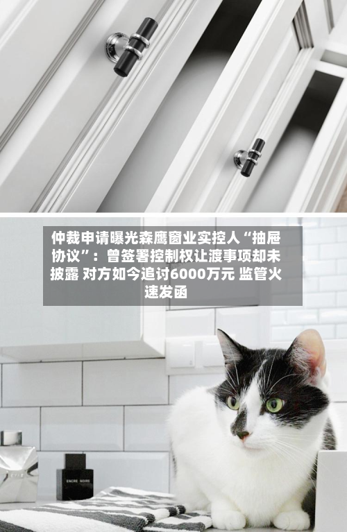 仲裁申请曝光森鹰窗业实控人“抽屉协议”:曾签署控制权让渡事项却未披露 对方如今追讨6000万元 监管火速发函