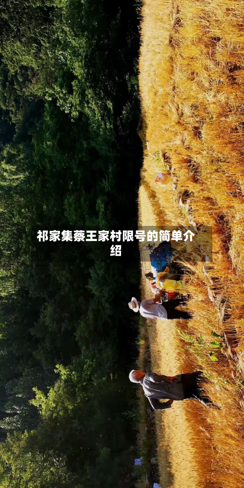 祁家集蔡王家村限号的简单介绍