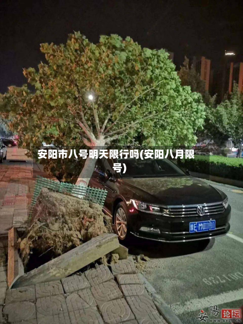 安阳市八号明天限行吗(安阳八月限号)