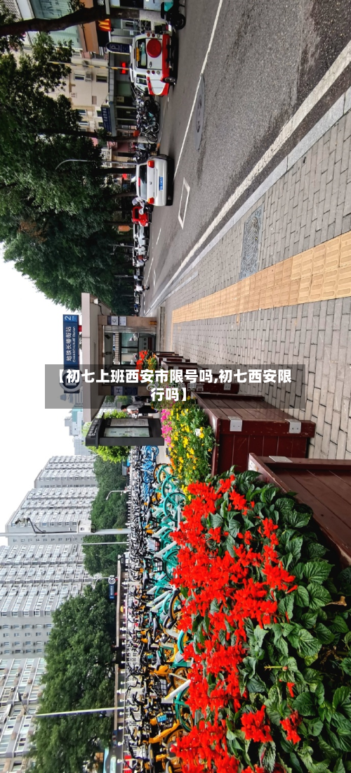 【初七上班西安市限号吗,初七西安限行吗】