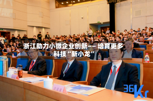 浙江助力小微企业创新—— 培育更多科技“新小龙”-第3张图片