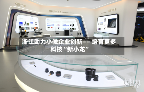 浙江助力小微企业创新—— 培育更多科技“新小龙”