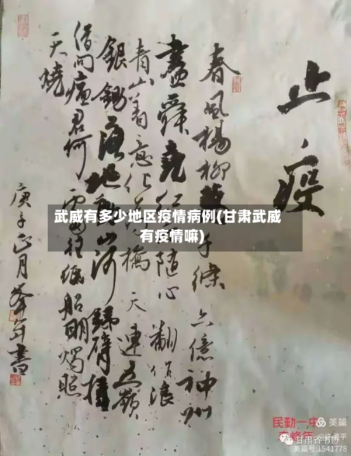 武威有多少地区疫情病例(甘肃武威有疫情嘛)-第3张图片